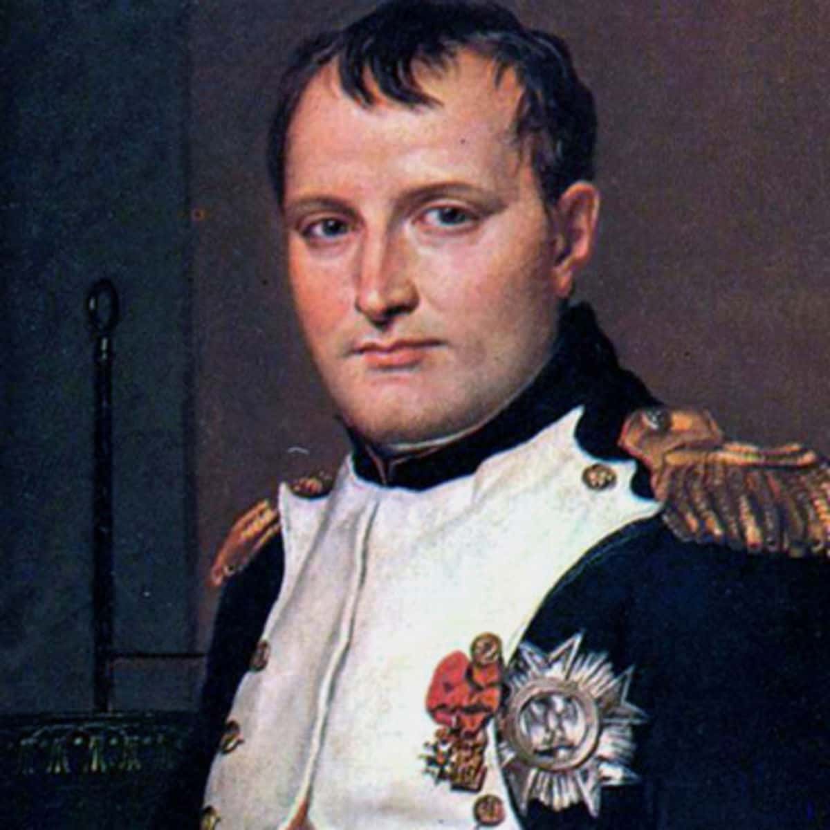 Napoleon Bonaparte Facts
