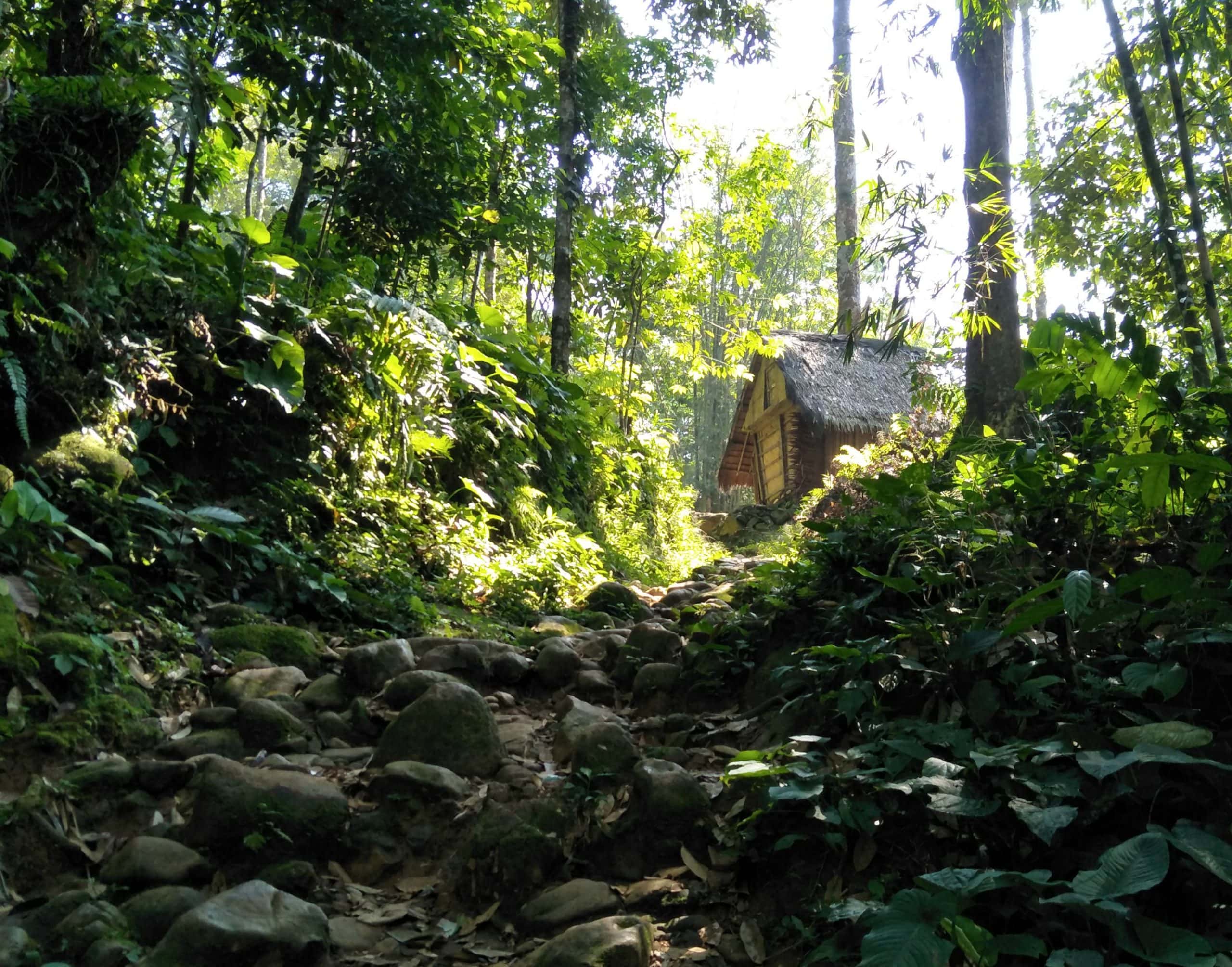 Secluded Civilizations Facts