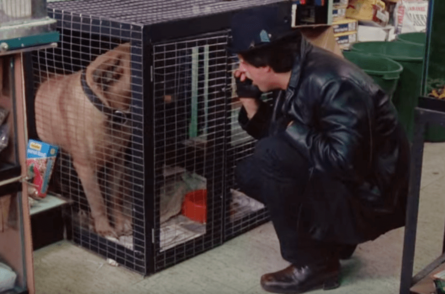 Sylvester Stallone facts