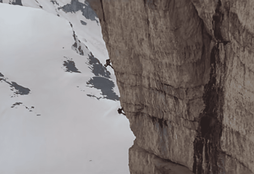 Sylvester Stallone facts