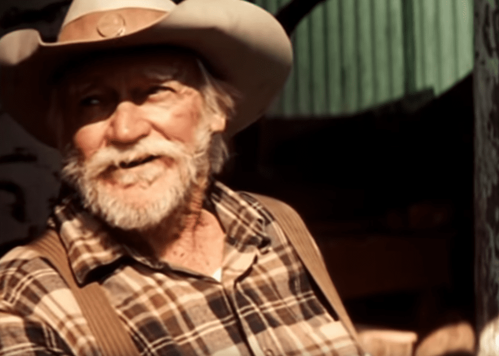 David Lynch films facts