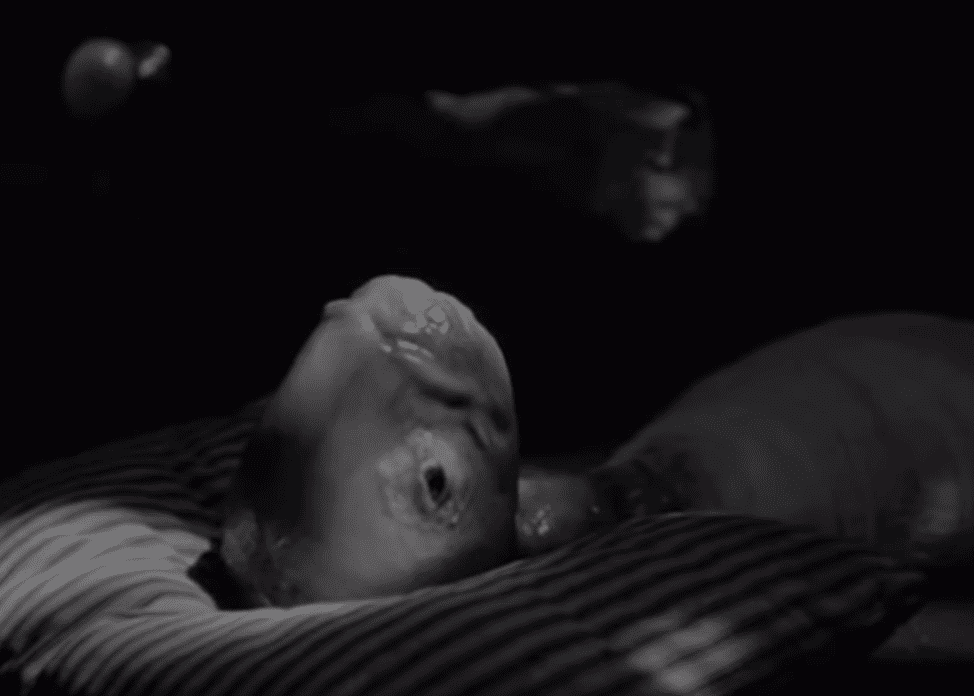 David Lynch films facts