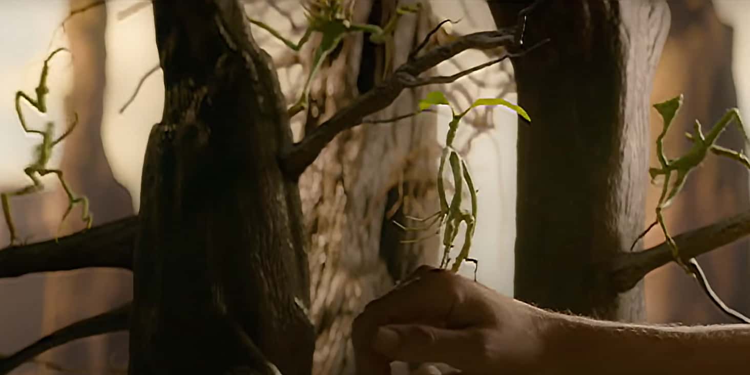 Magical Creatures of Harry Potter facts 