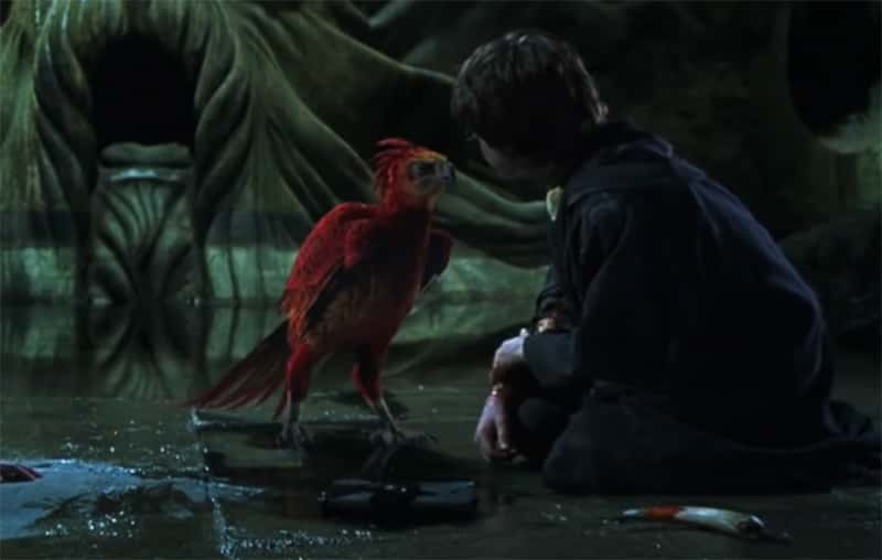 Magical Creatures of Harry Potter facts 