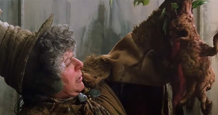 Magical Creatures of Harry Potter facts 