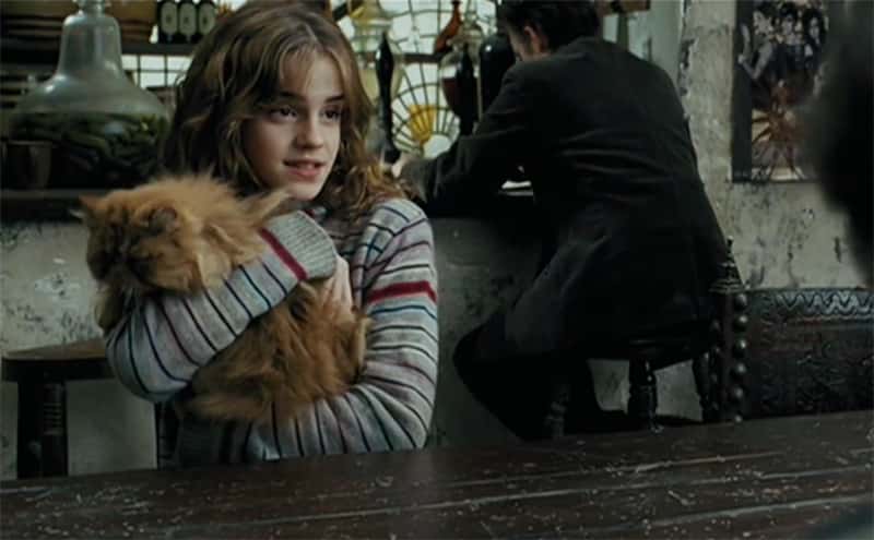 Magical Creatures of Harry Potter facts