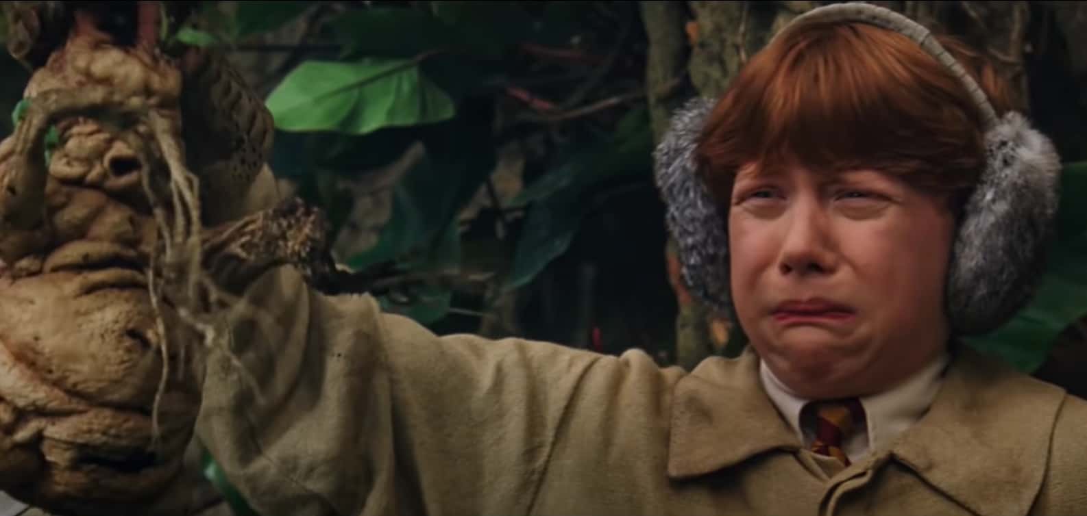 Magical Creatures of Harry Potter facts 