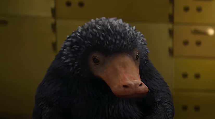 Magical Creatures of Harry Potter facts