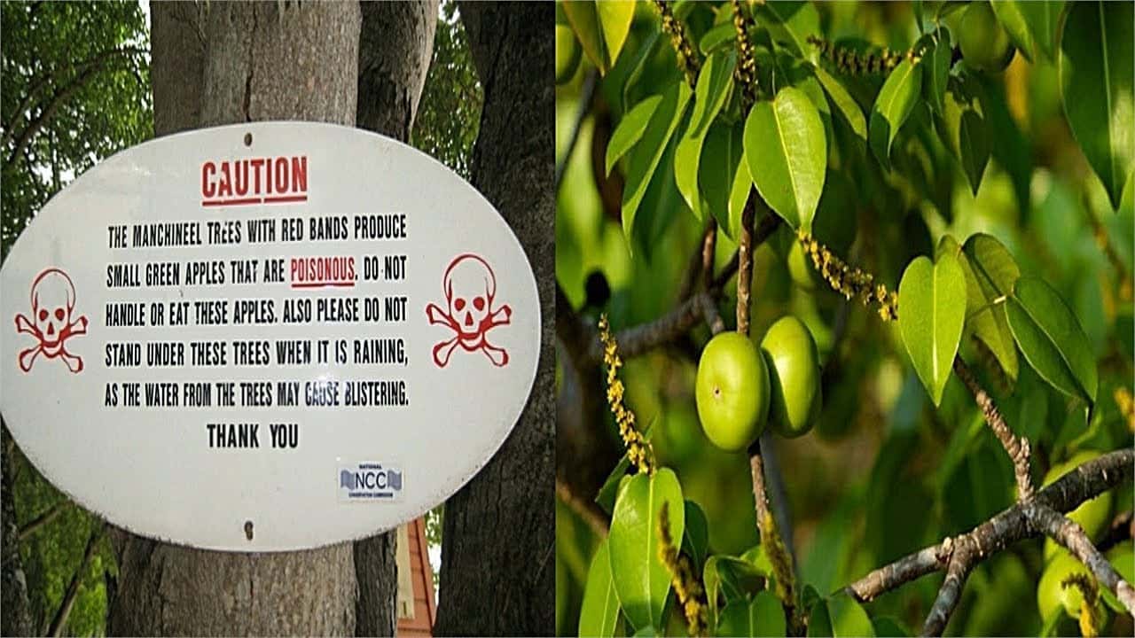 Facts to Share With Friends