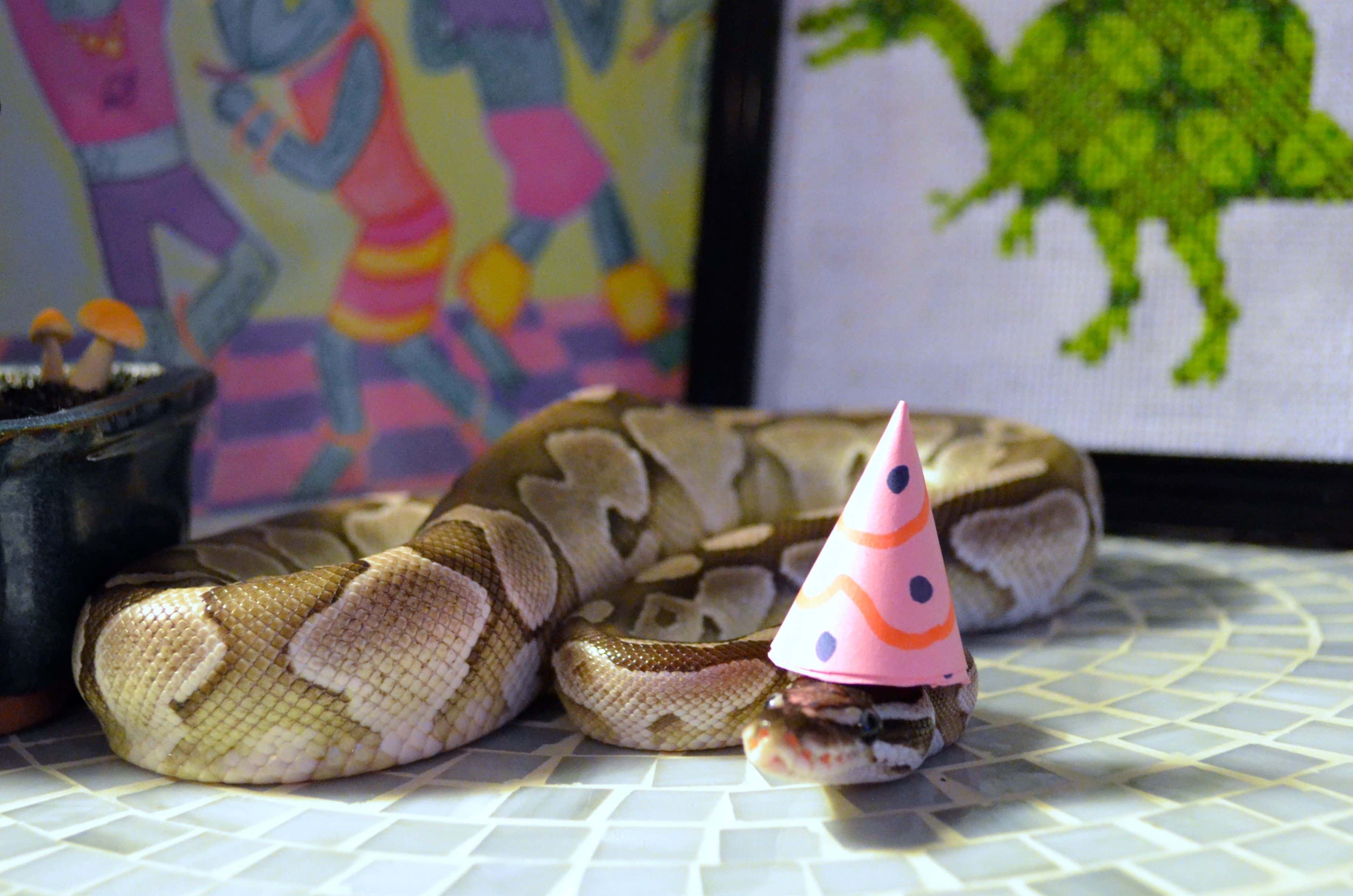 Facts to Share With Friends