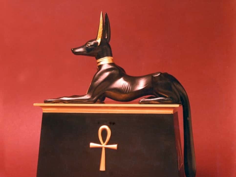 Out of the Dark Ages facts