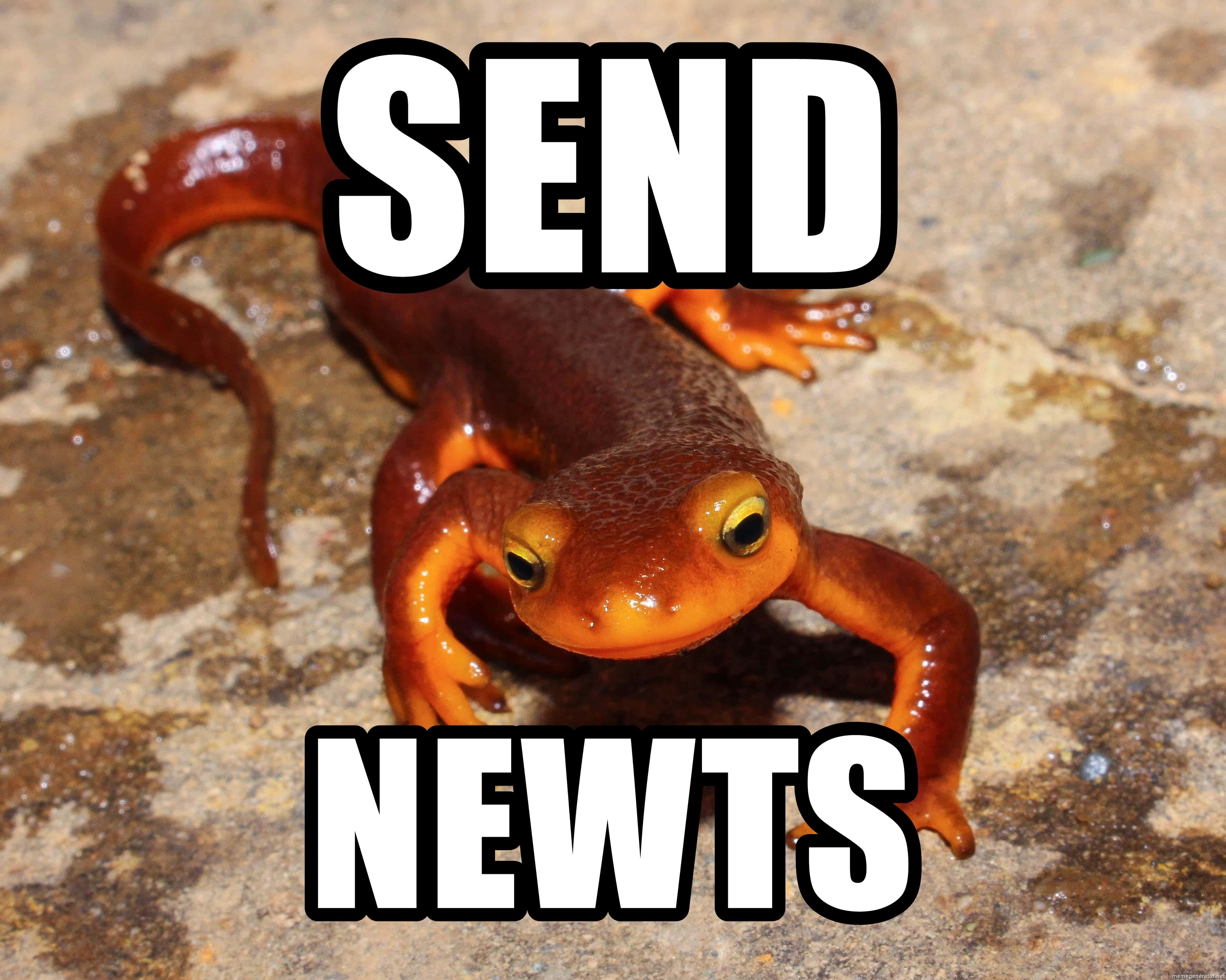 Roald Dahl’s Matilda facts