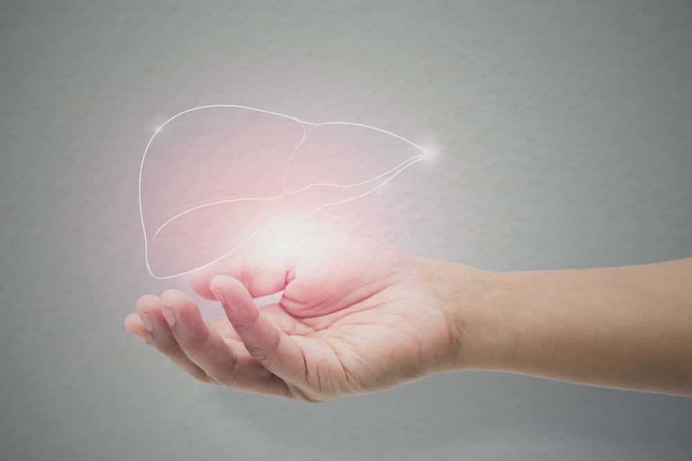 Insane But True Facts