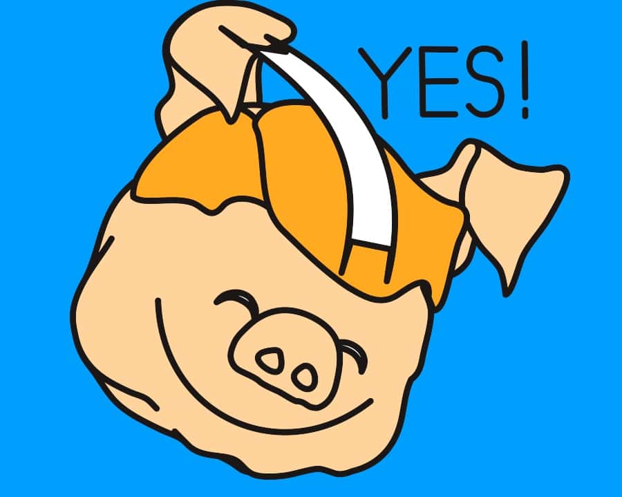 Insane But True Facts