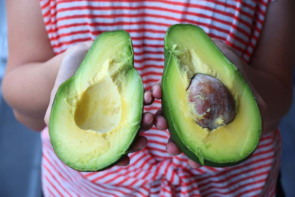 Bizarre Occurrences Facts