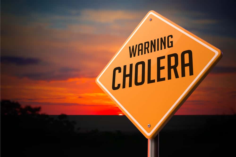 Cholera Facts