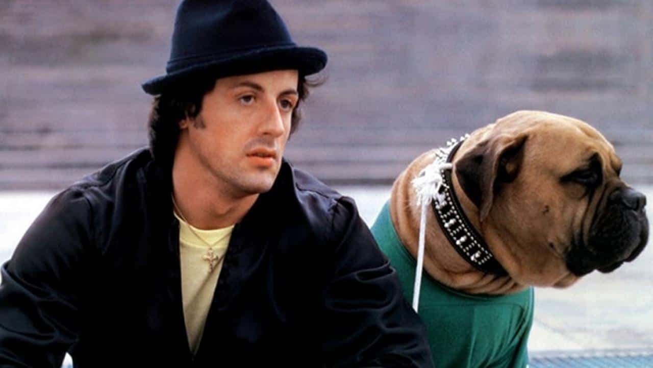 Sylvester Stallone facts