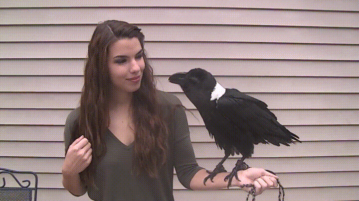 Facts to Share With Friends