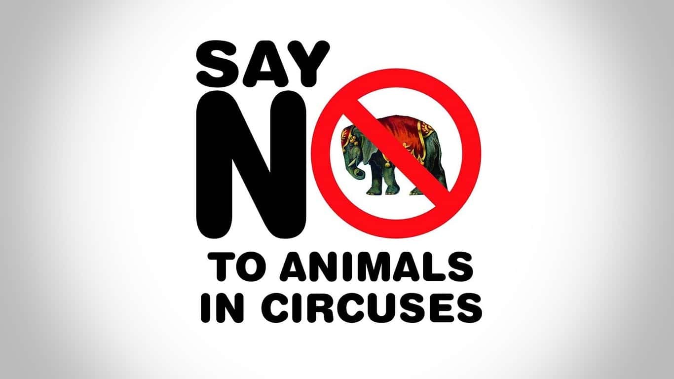 Circus facts
