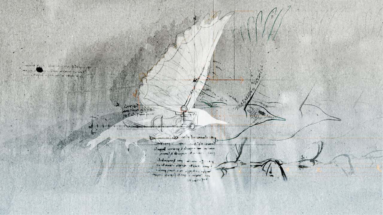 Leonardo da Vinci facts