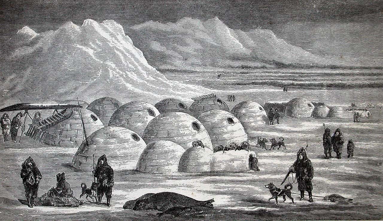 Polar Exploration facts
