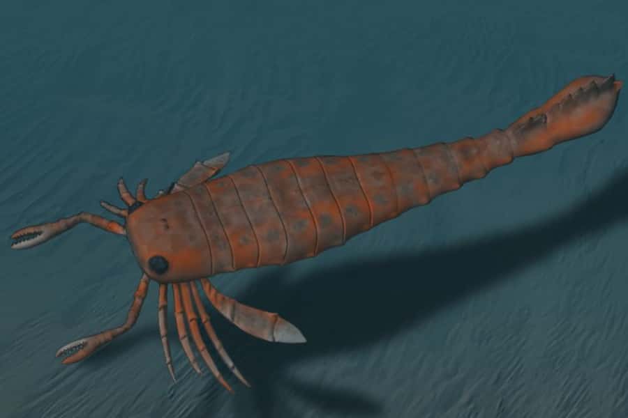 Prehistoric Beasts facts