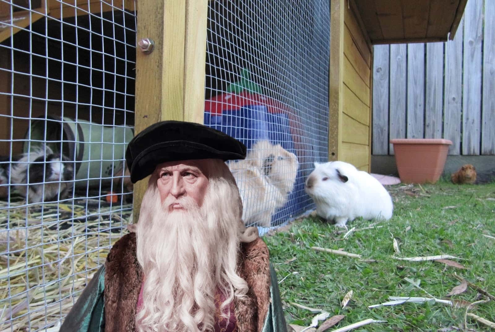 Leonardo da Vinci facts