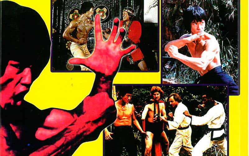 Kung Fu movies facts
