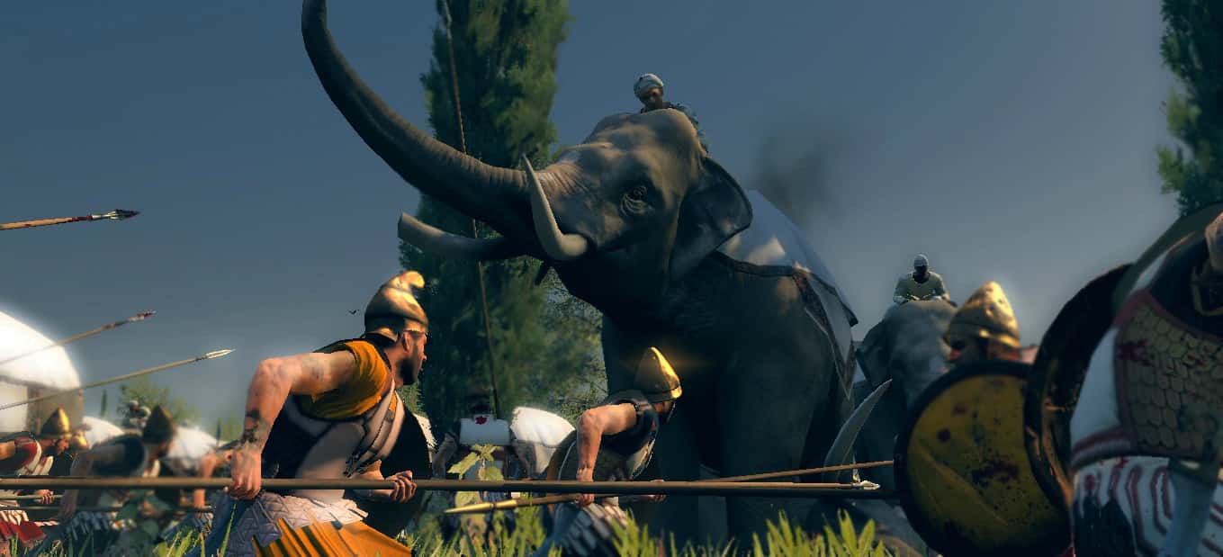 Animals In Warfare facts