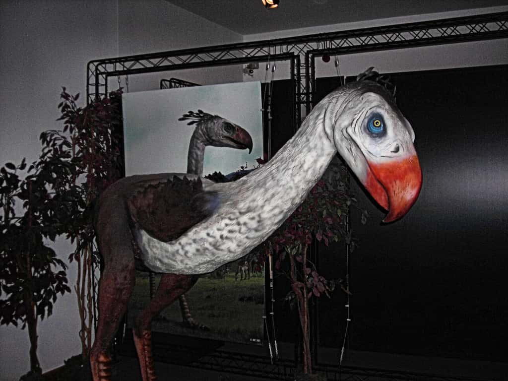 Prehistoric Beasts Facts