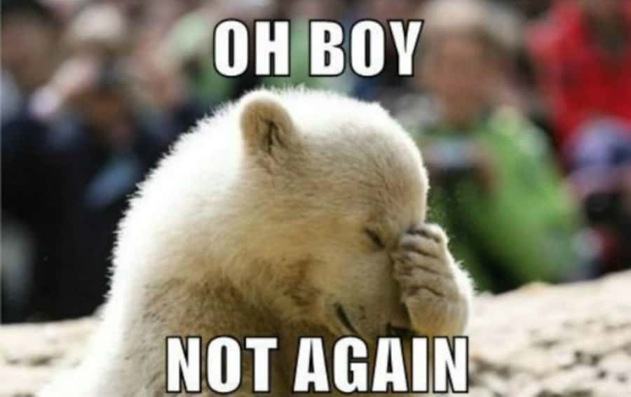 The Romanov Family Facts