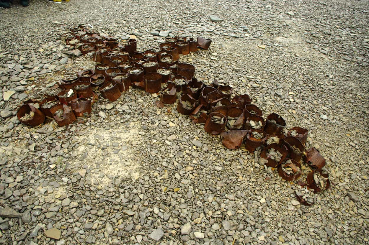 Franklin Expedition facts