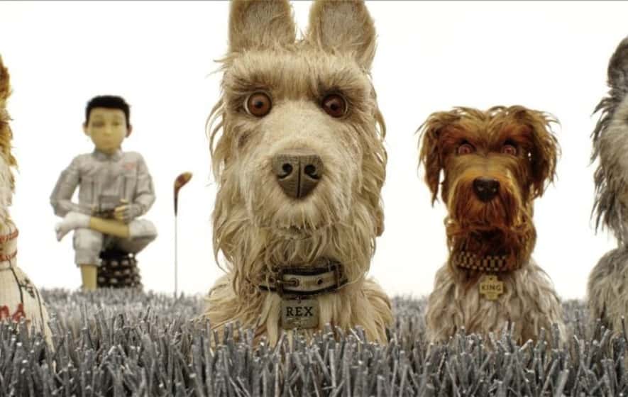 Wes Anderson Movies facts