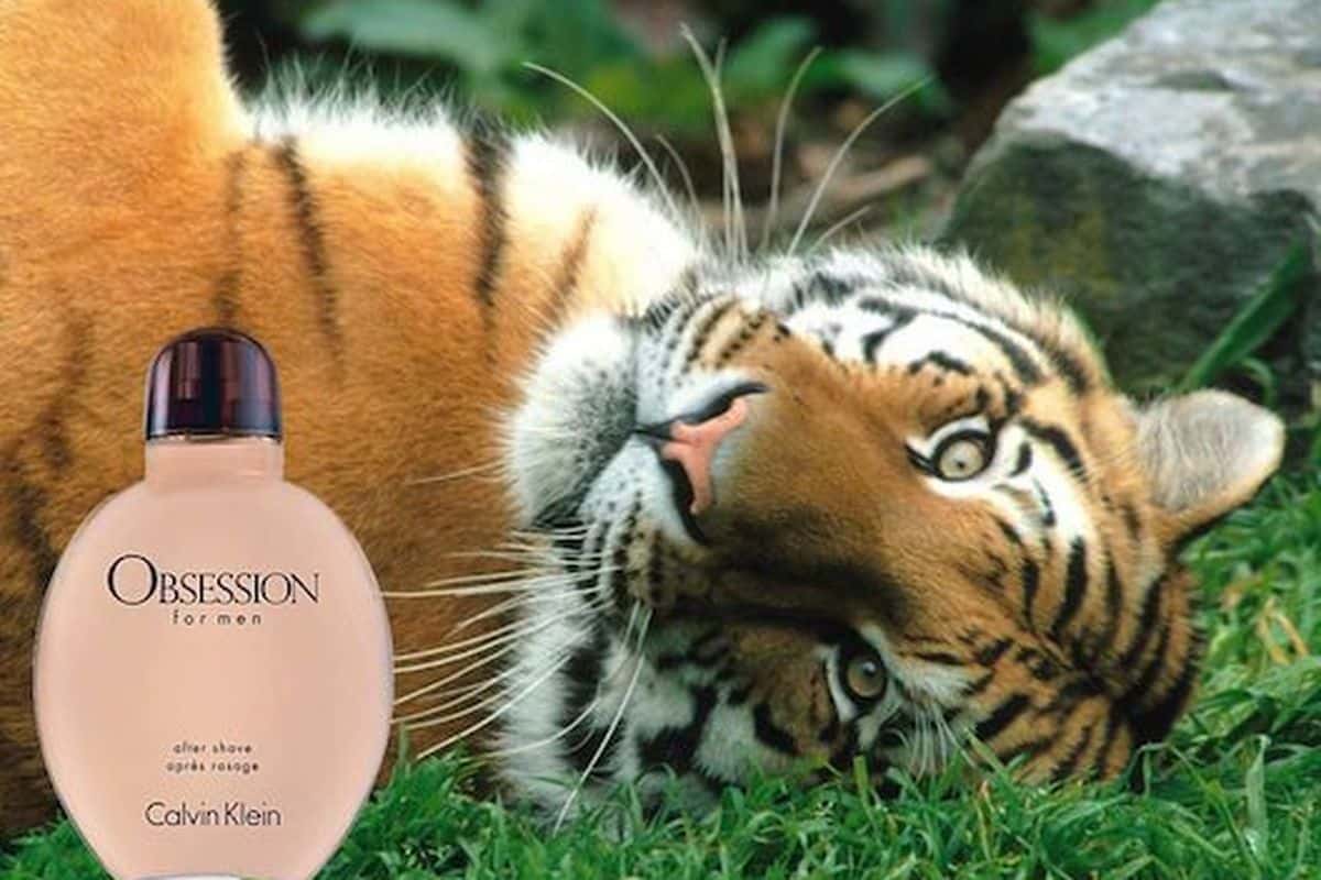 Curiosity-Quenching Random Facts