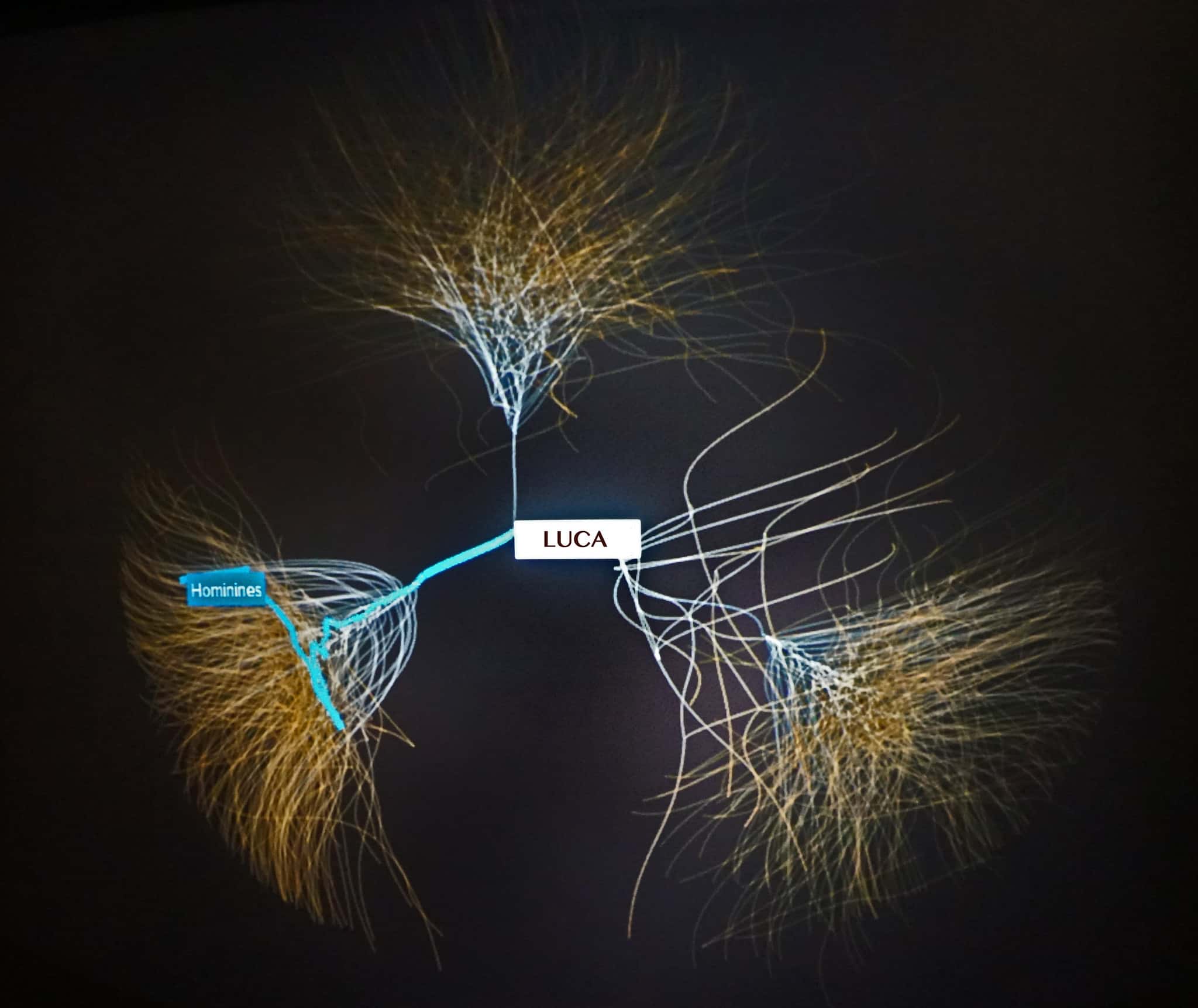 Life in the Universe Facts