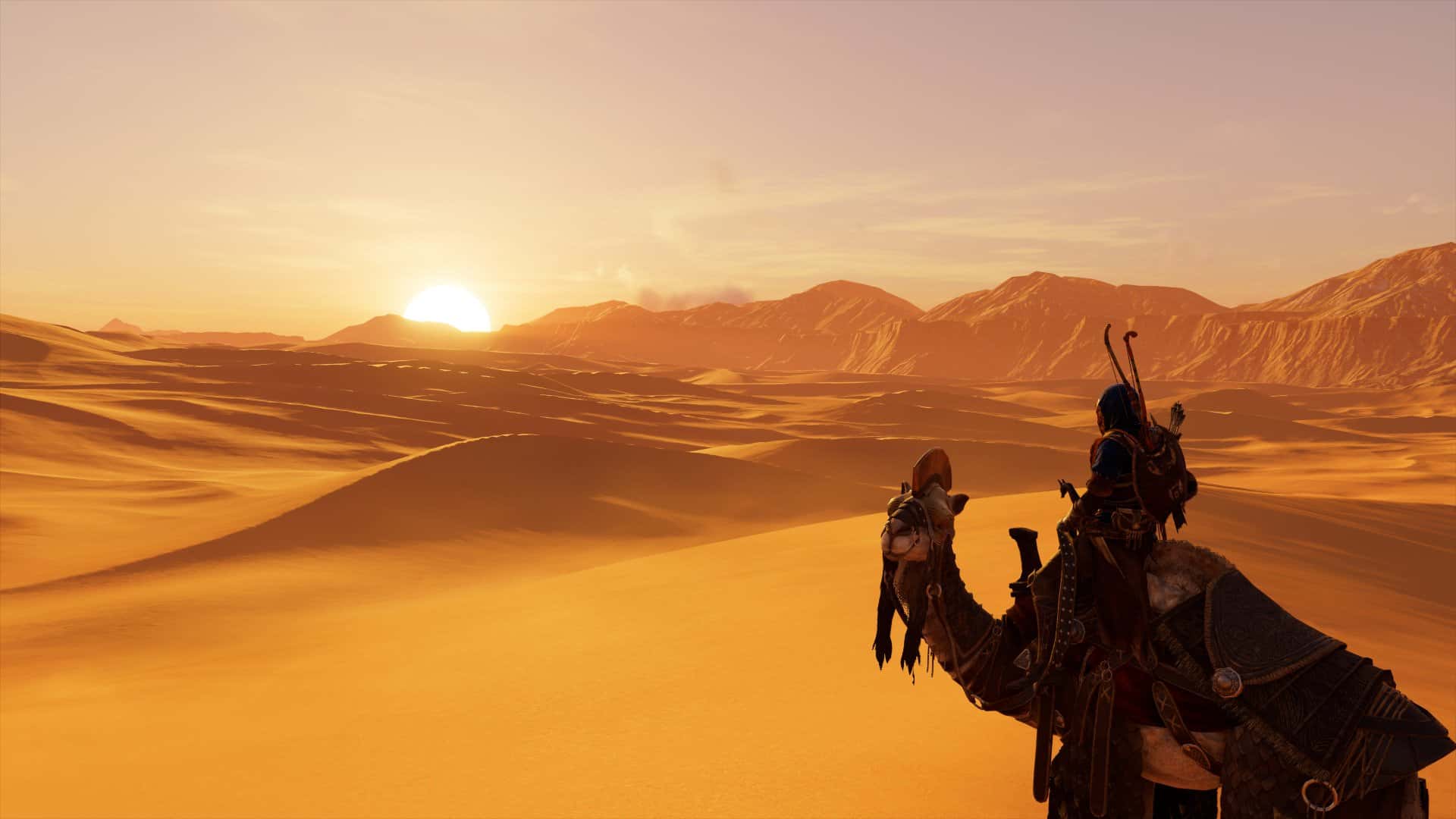 Animals In Warfare facts 