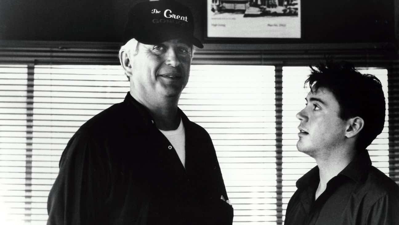 Robert Downey Jr. facts 