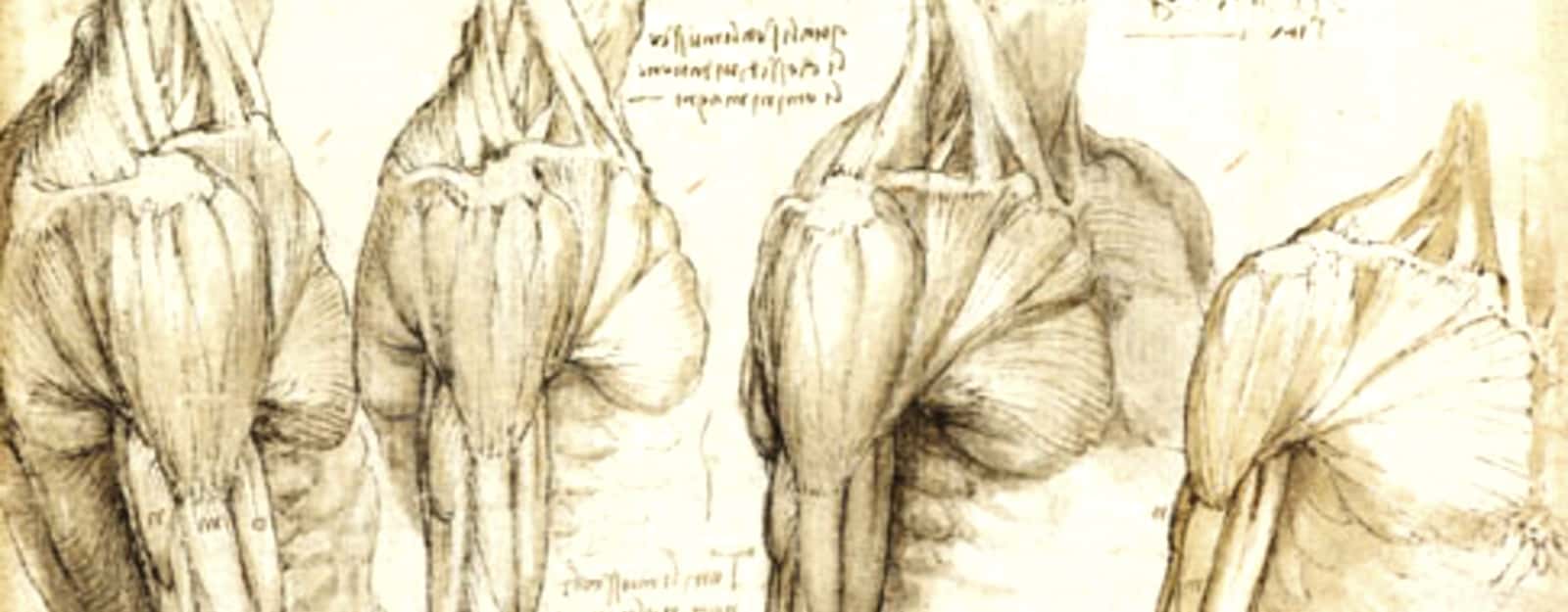 Leonardo da Vinci facts