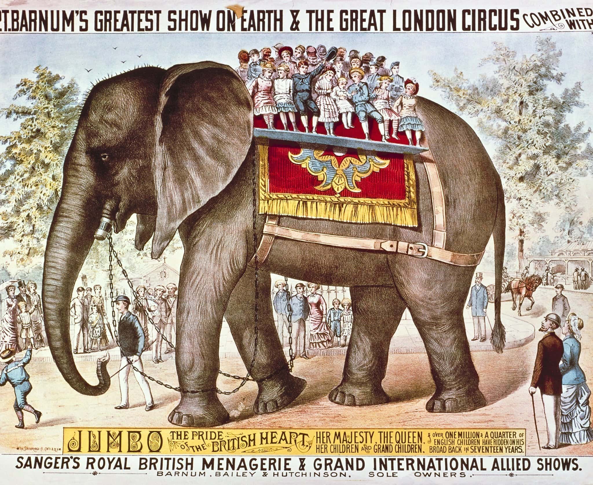 Circus facts
