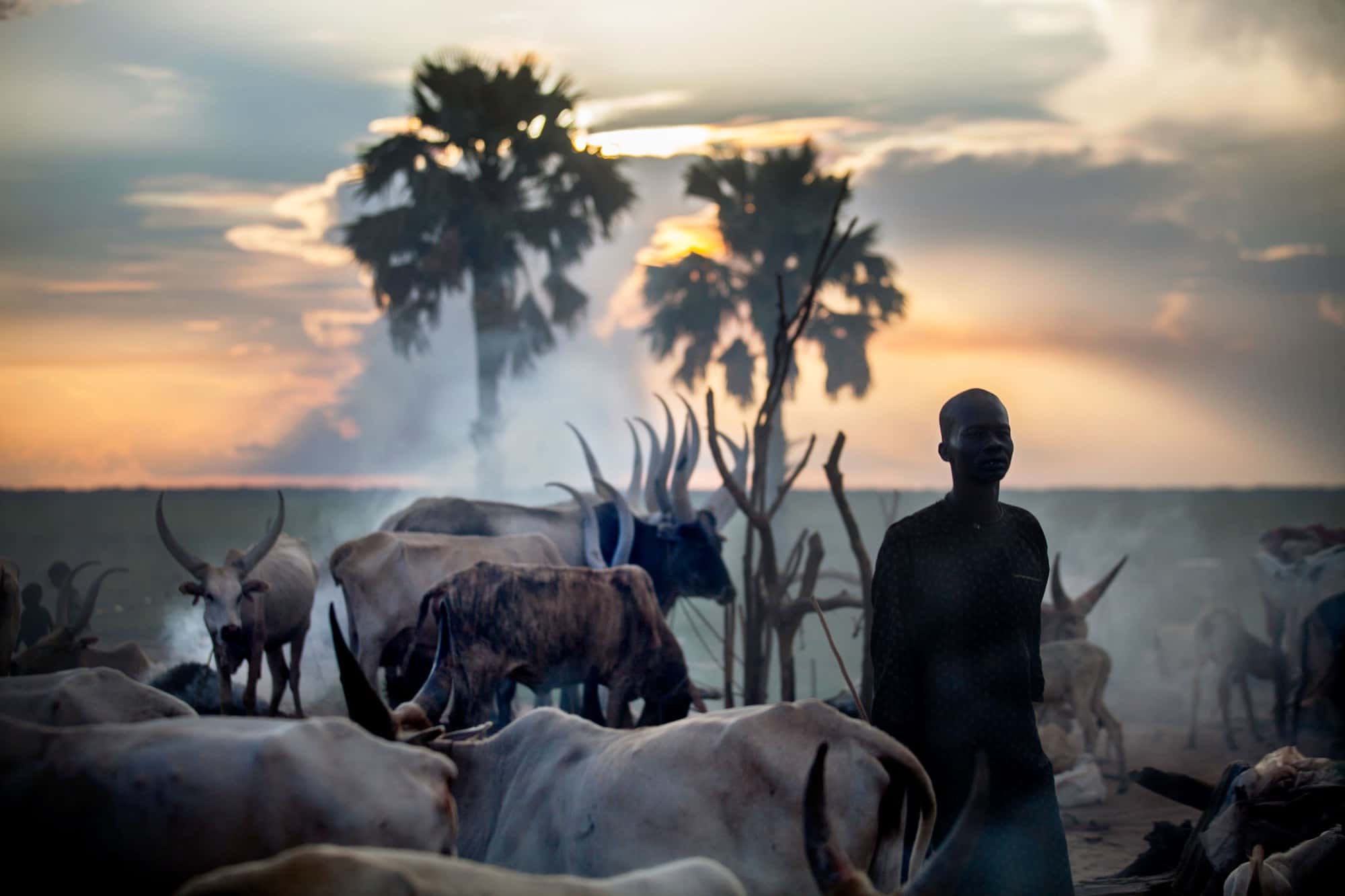 Aboriginal Chieftains facts 