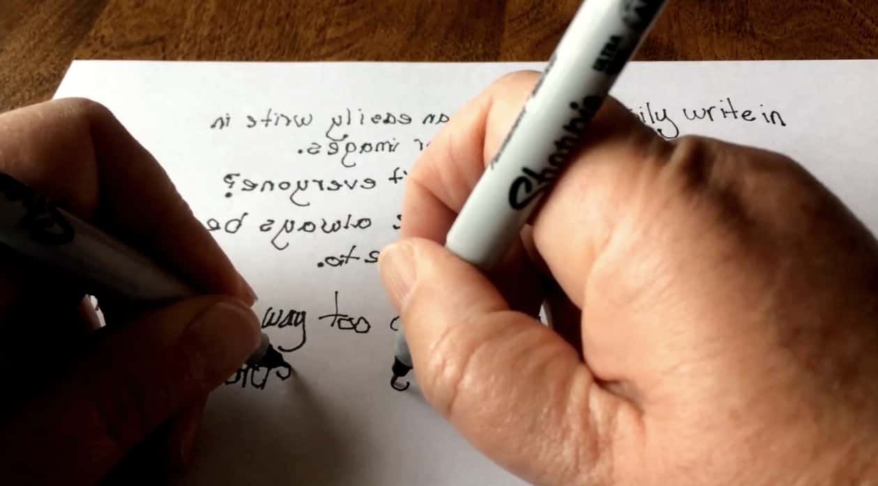 Leonardo da Vinci facts 