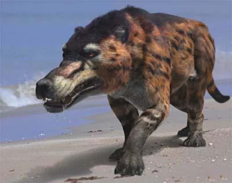 Prehistoric Beasts facts