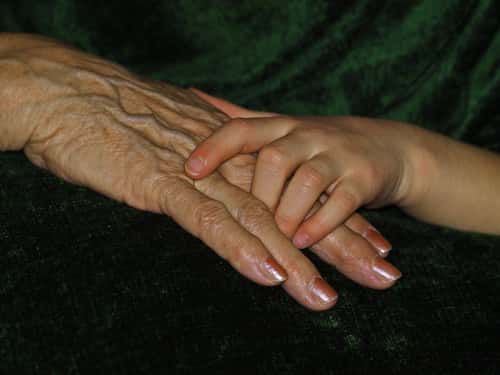 David Koresh And The Waco Siege facts