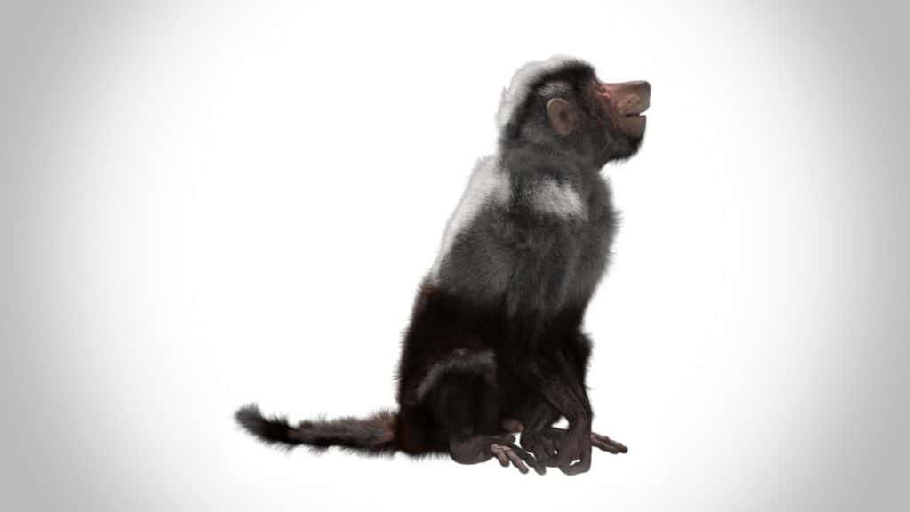 43 Earth-Shaking Facts About Prehistoric Beasts