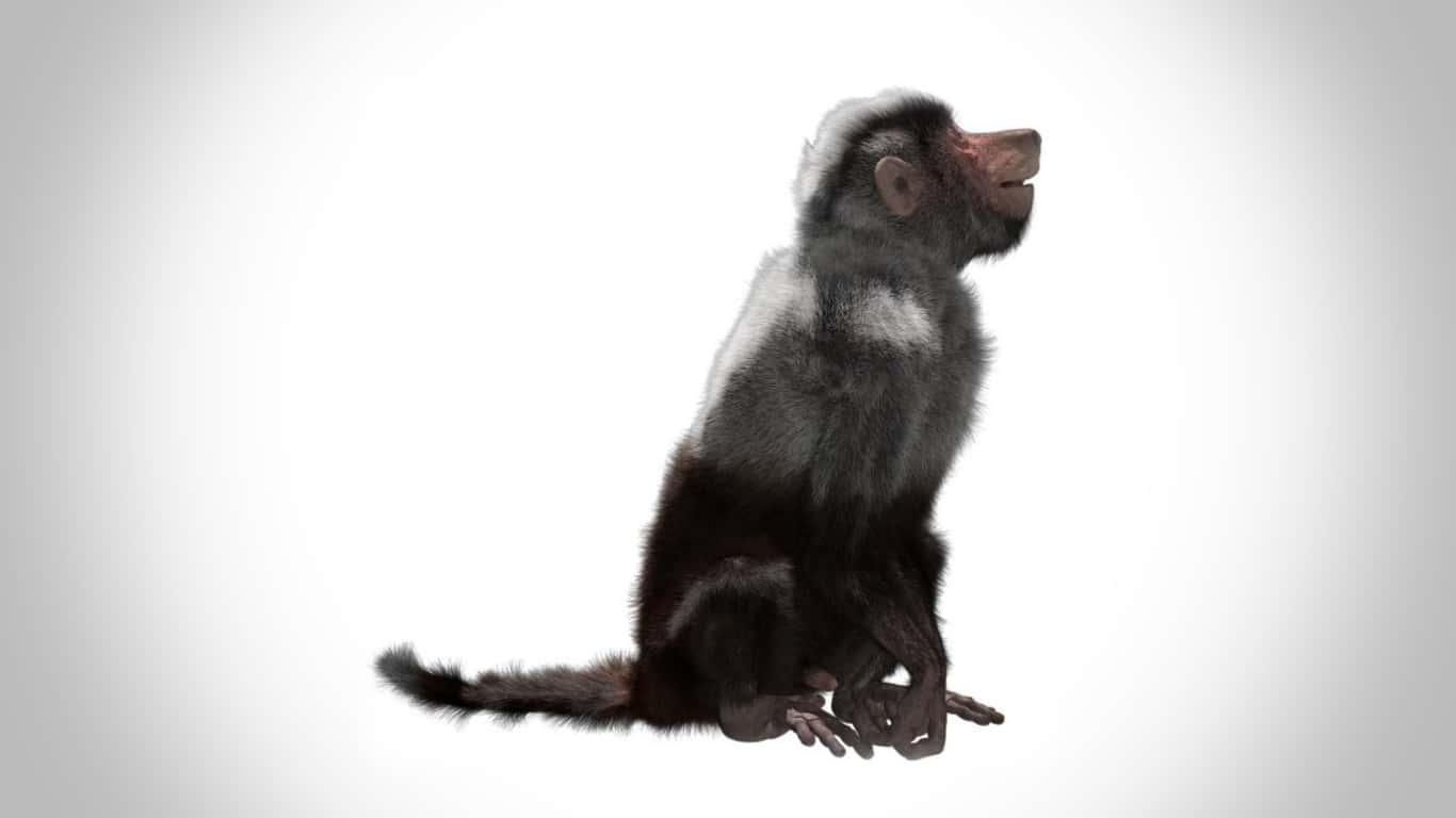 Prehistoric Beasts facts