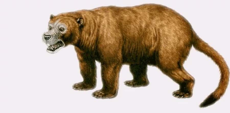 Prehistoric Beasts facts