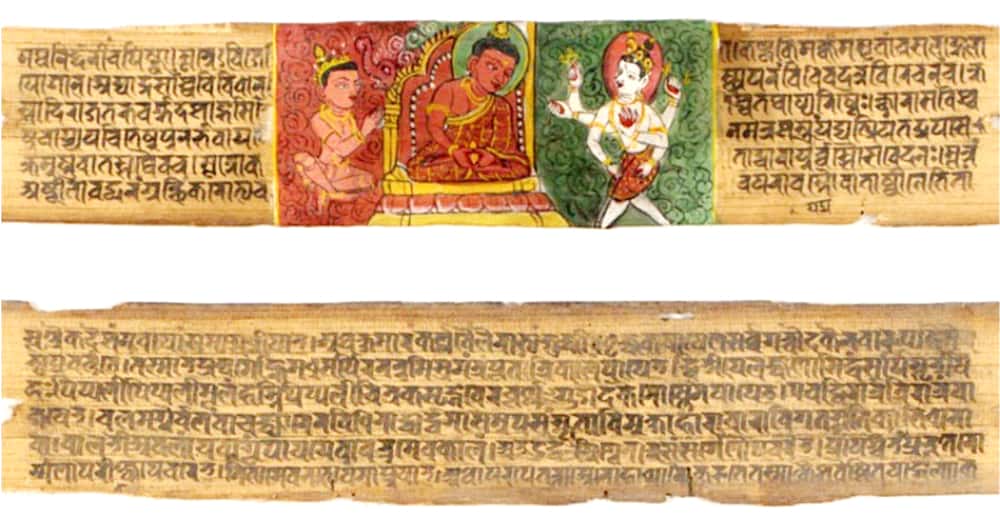  Plastic Surgery facts 