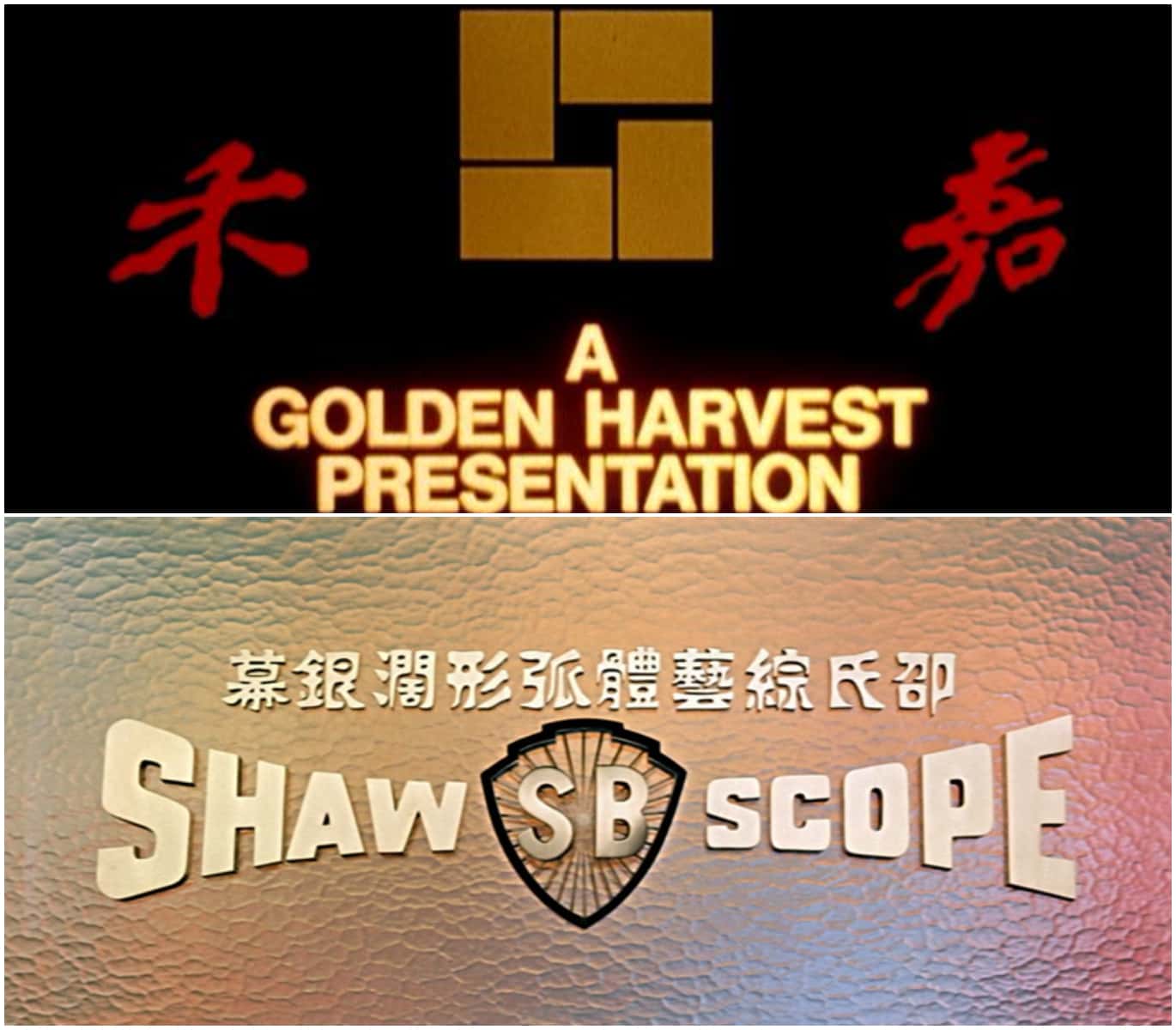 Kung Fu movies facts