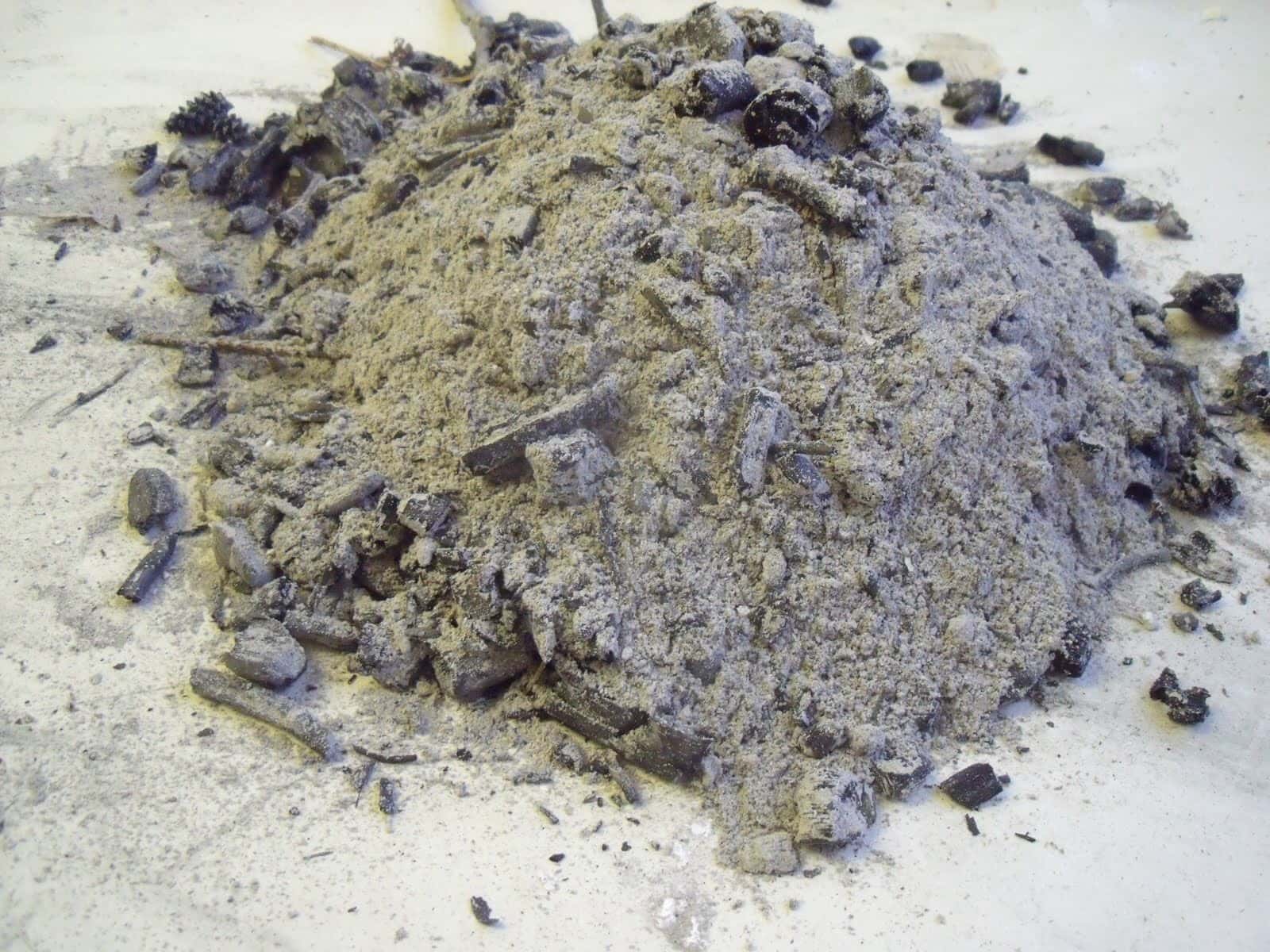 Ancient Persia facts