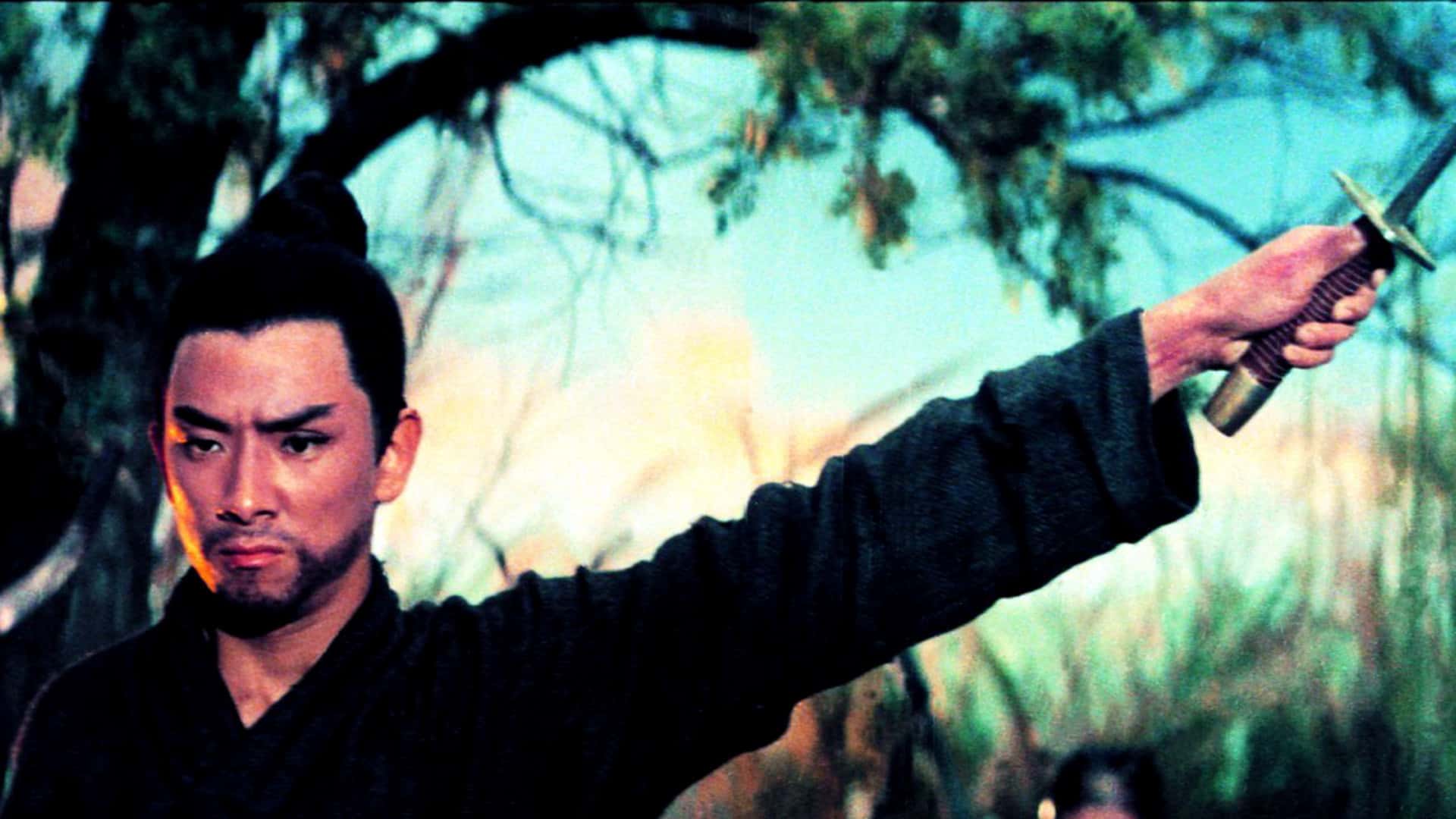 Kung Fu movies facts